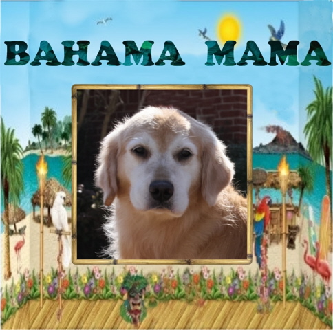 Bahama